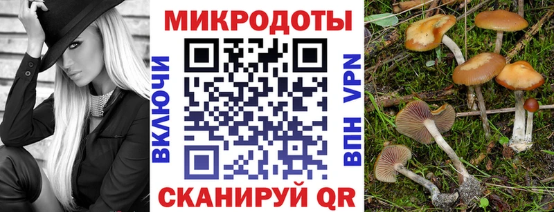 Псилоцибиновые грибы Psilocybine cubensis OMG как войти Туринск